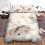 The Small Animal - The Hamster Sleeping On The Fabric Field Bed Sheets Spread Duvet Cover Bedding Sets
