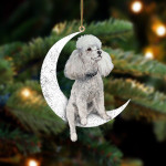 Poodle-Sit On The Moon-Two Sided Ornament