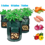Large Capacity Potato & Vegetable Grow Planter PE Container Bag 🔥HOT DEAL - 50% OFF🔥
