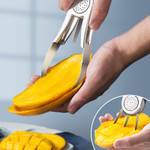 Stainless Steel Fruit Remover & Slicer 🔥HOT SALE 50%🔥