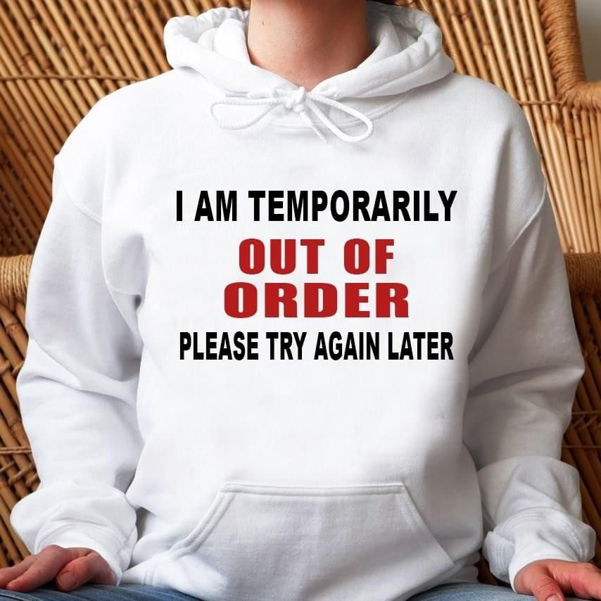 I Am Temporarily Out Of Order Please Try Again Later Funny Hoodie
