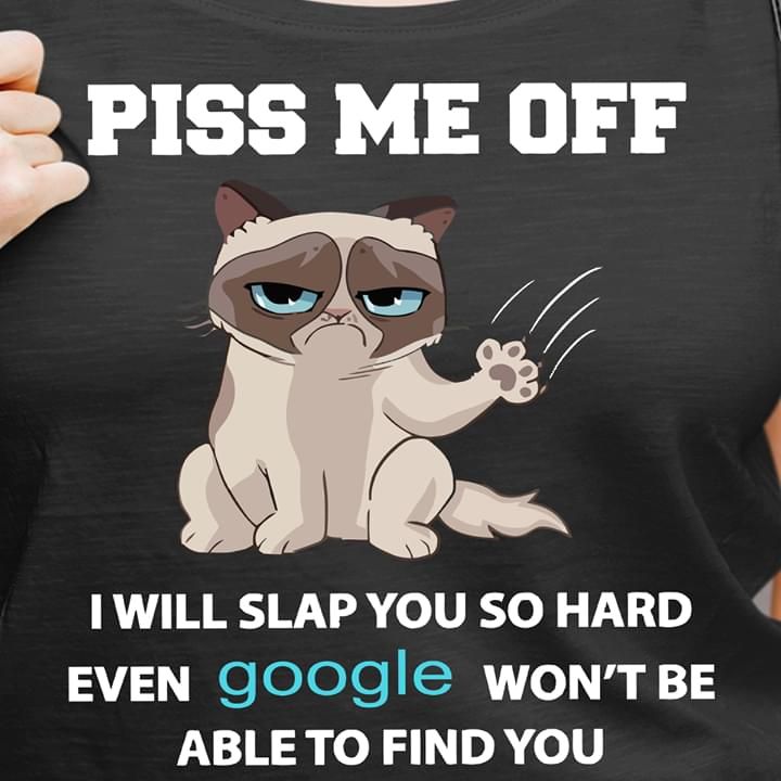 Piss Me Off I Will Slap You So Hard Cat Funny Tshirt PAN2TS0241