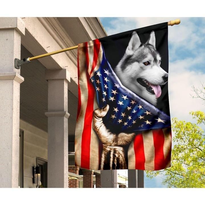 Husky Dog American Flag