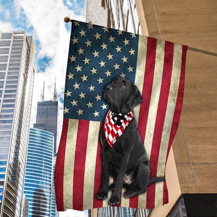 Black Labrador Dog American Flag PANFLAG0004