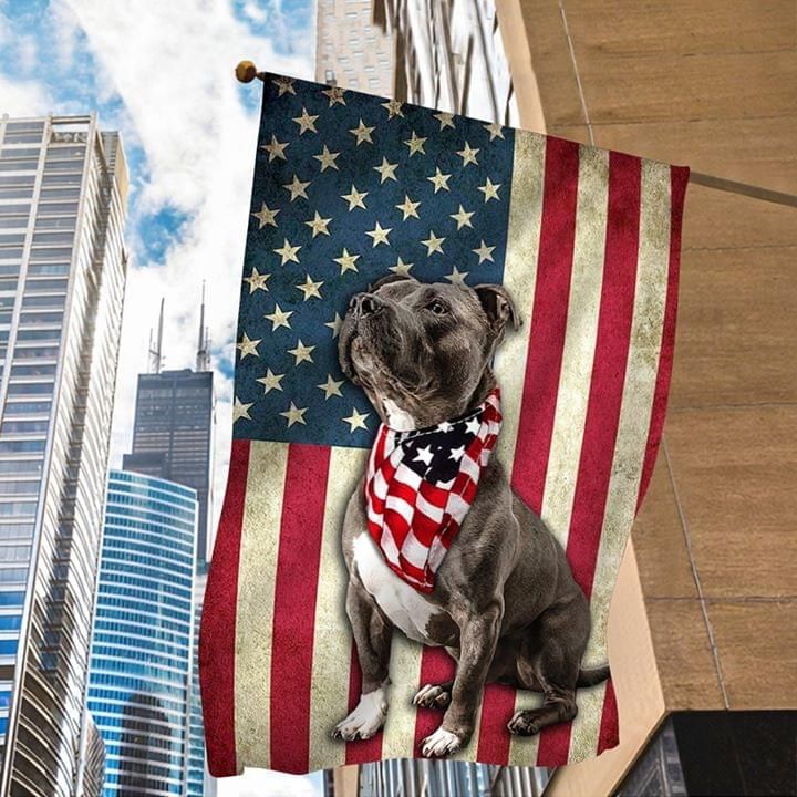 Boxer Dog American Flag