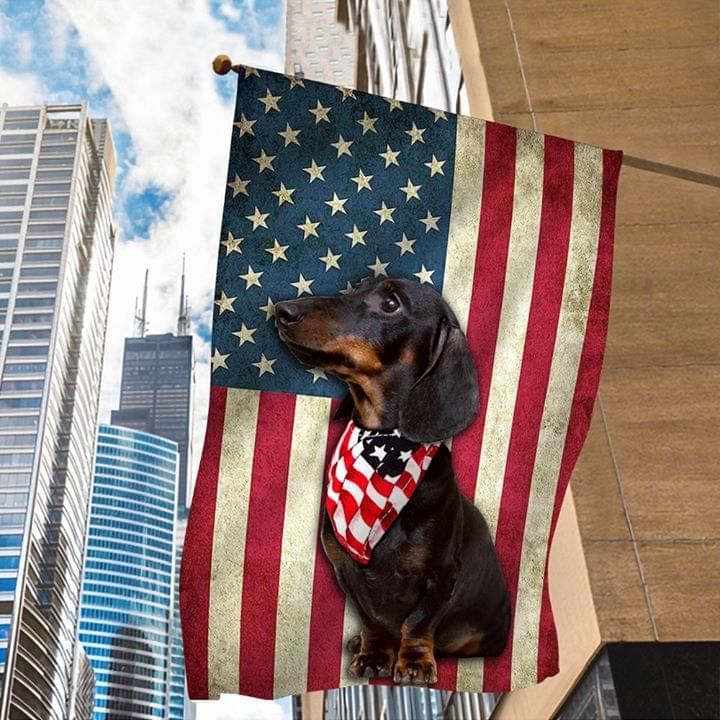 Dachshund Dog Wear Bandana American Flag