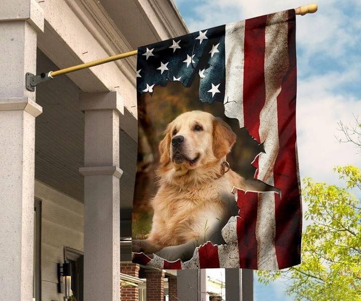 Golden Retriever Dog American Flag PAN
