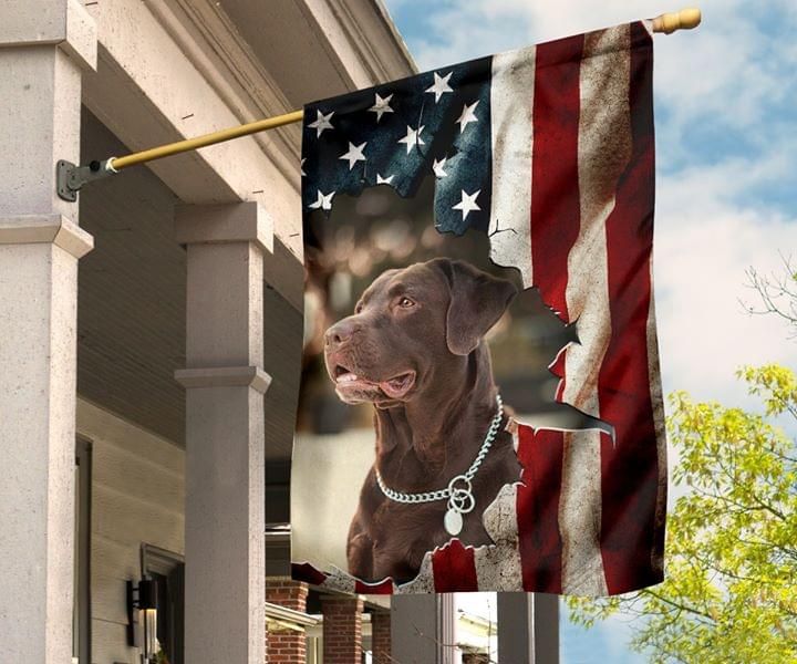 Labrador Dog American Flag