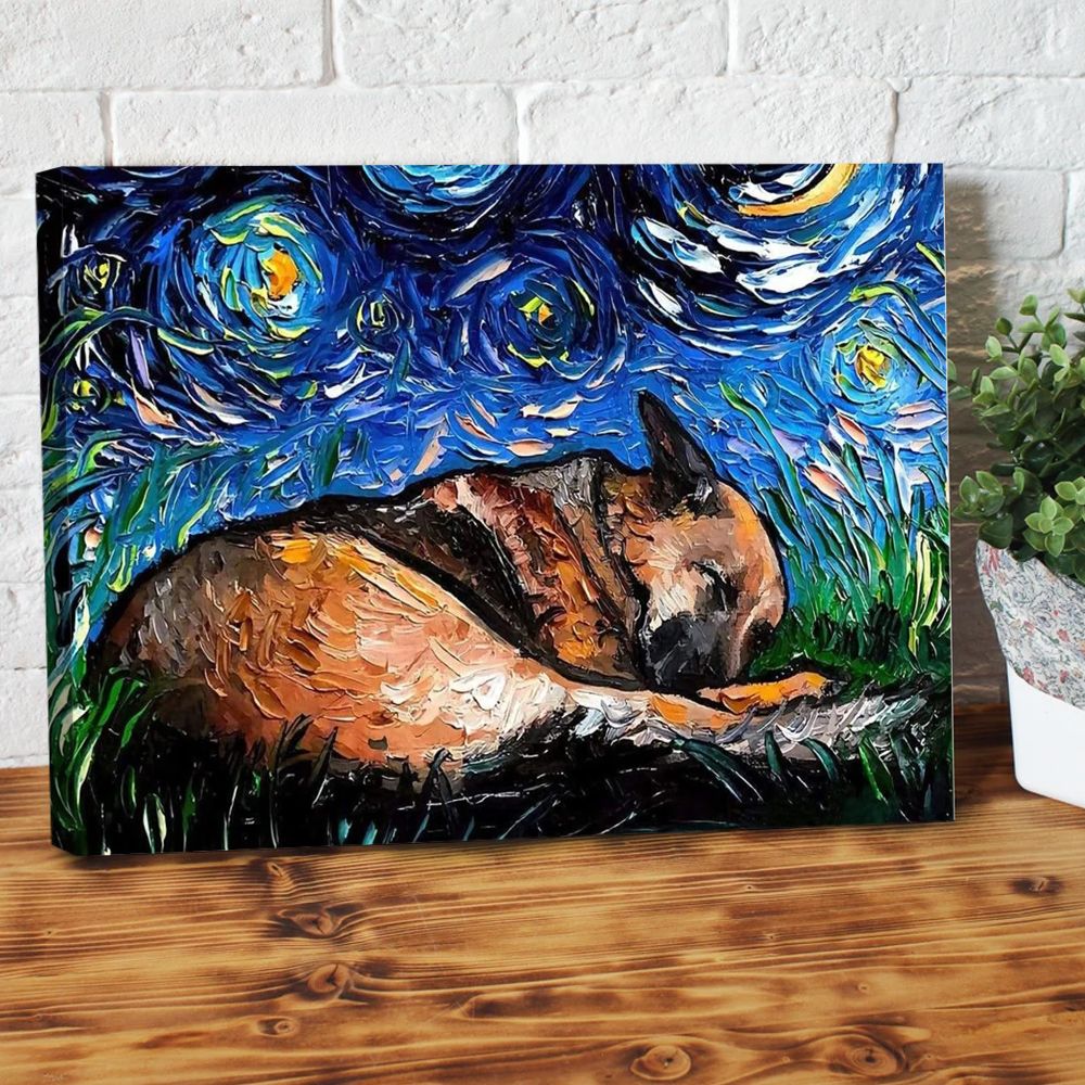 Sleeping German Shepherd In Starry Night Canvas Prints PAN