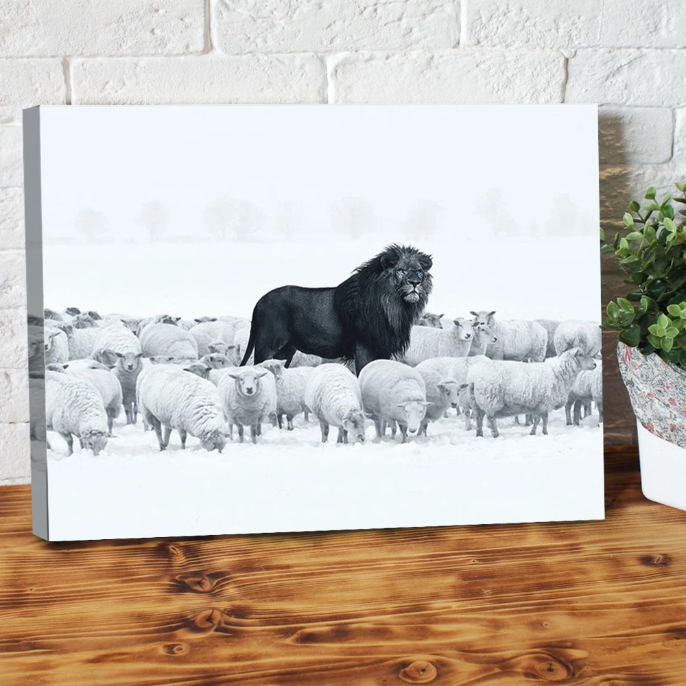 Lion Amongst Sheeps Canvas Print PAN