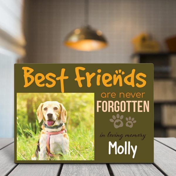 Best Friends Are Never Forgotten Custom Photo Pet Lover Desktop Plaque