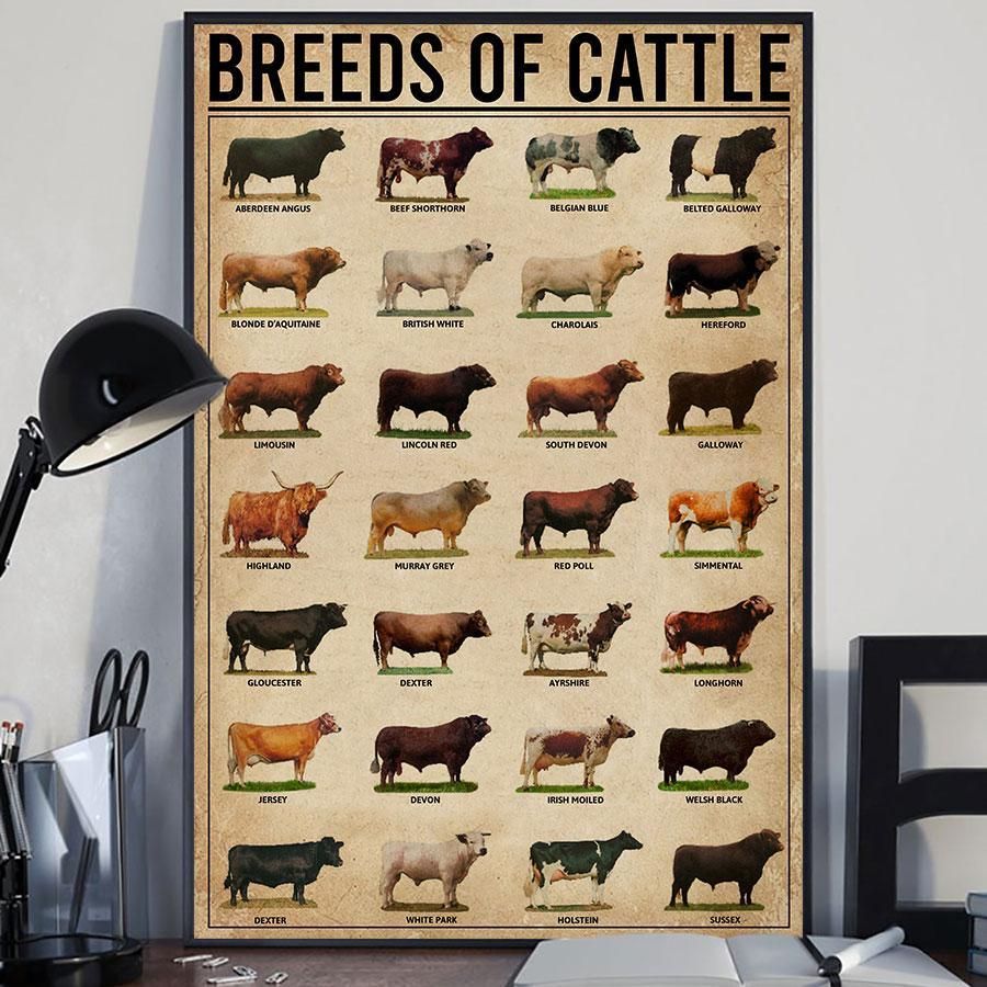 Breeds of Cattle - Poster