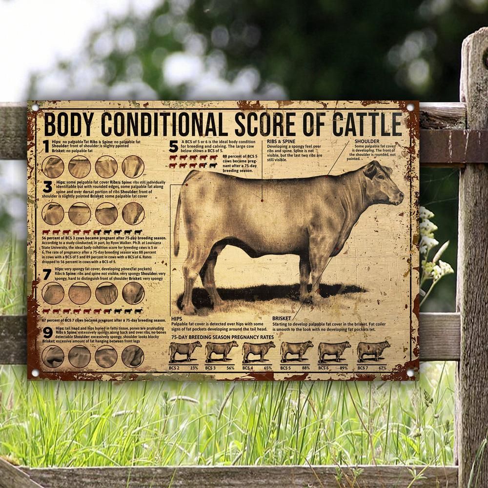 Cattle Body Conditional Score Customized Classic Metal Signs