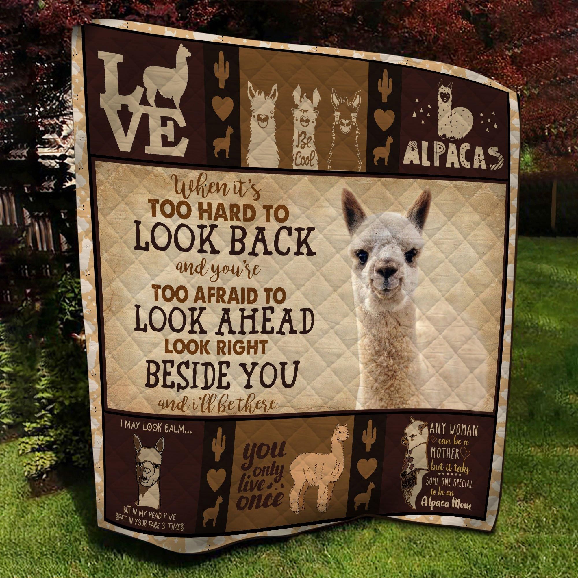 Look Back Look Ahead Alpaca Quilt
