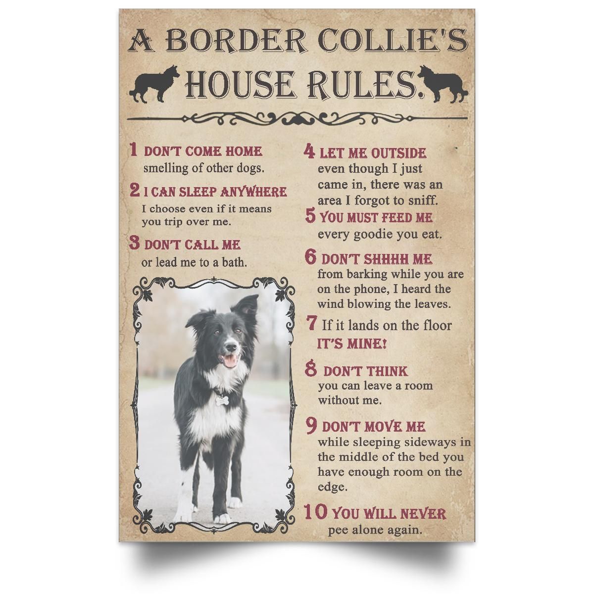 Personalized - Custom your dog Retro Border Collie House's Rules Poster