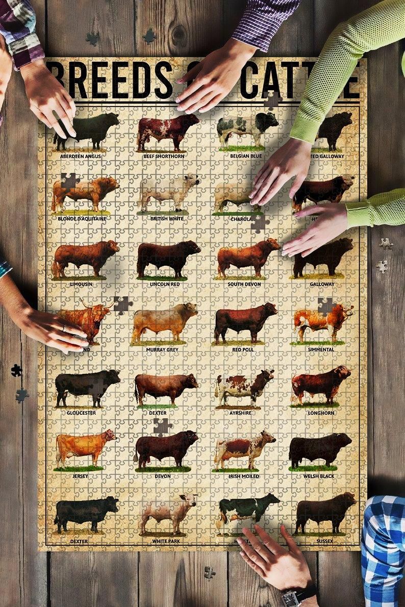 Breeds Of Cattle 500 Piece Jigsaw Puzzles
