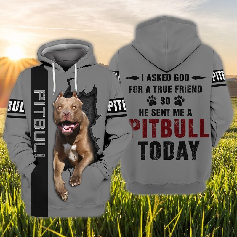 Pitbull 3D Hoodie I Asked God For A True Friend
