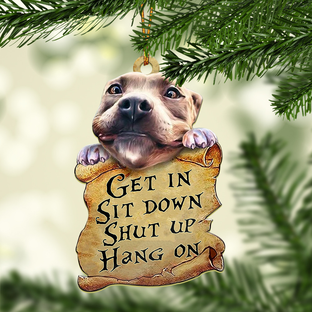 Pitbull Lover Two Sided Ornament P303 PANORPG0145