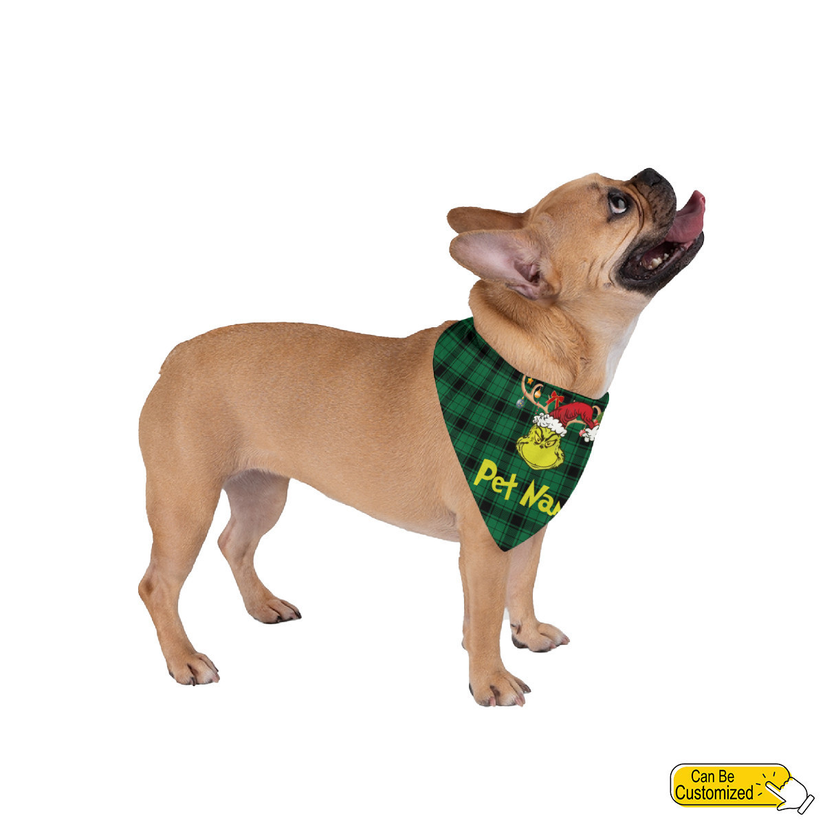 Personalized Grinch Pet Scarf For Dog PAN