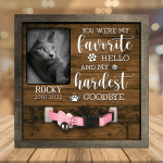 A Russian Blue Cat Picture Frames Memorial Pet you were my favorite Hello, memorial painting