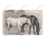 Black Horse And White Horse Drinking Water Vintage KC2309902CL Doormat - 1
