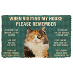 3D Please Remember Calico Cat House Rules Doormat DHC05061818 - 1