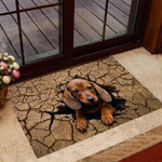 Funny Dog Door Personalized Doormat DHC07061043 - 1