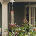 50% OFF Peter's Hummingbird Feeder - Buy 2 Give Free Cleaning Brush and Hook