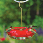 💥50% OFF💥Kevin's Best Hummingbird Feeder With Perch