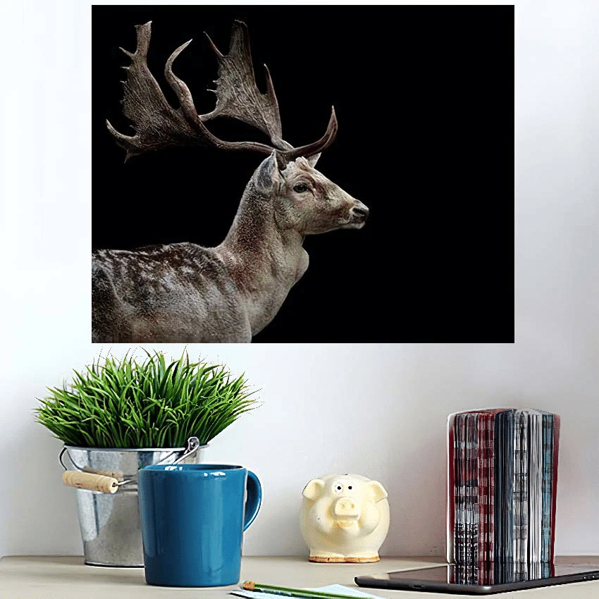 Close Side View Male Fallow Deer - Deer Animals Poster Art Print