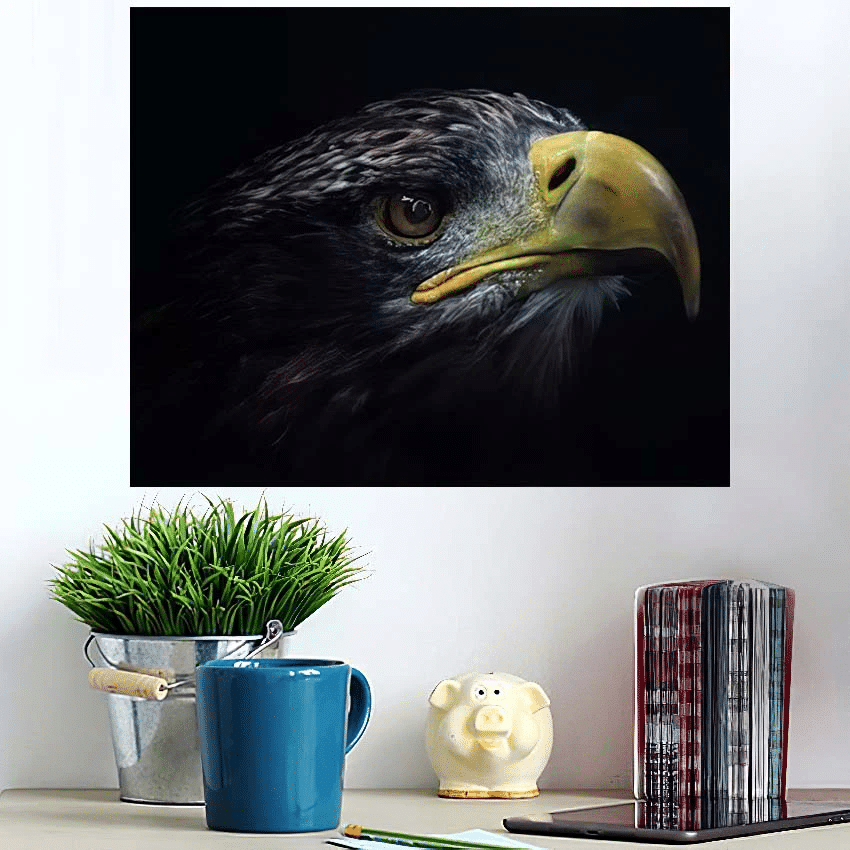 Close Eagle Head Black Background - Eagle Animals Poster Art Print