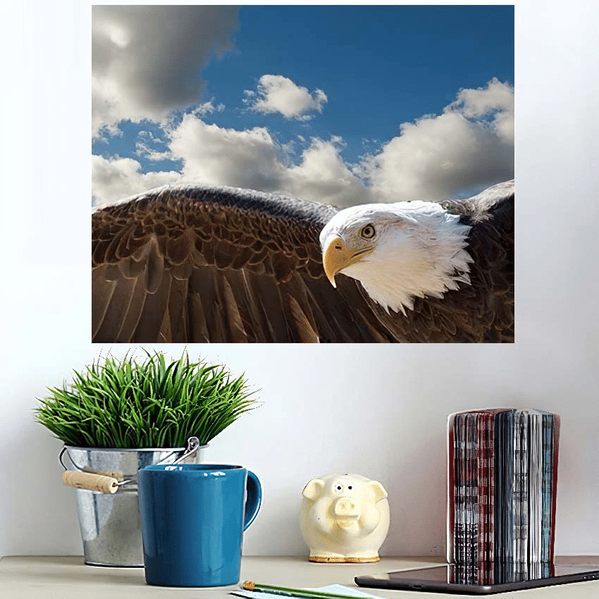 Closeup Bald Eagle Flying Cloudy Sky - Eagle Animals Poster Art Print