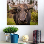 Closeup Shot Black Water Buffalo Middle - Bison Animals Poster Art Print