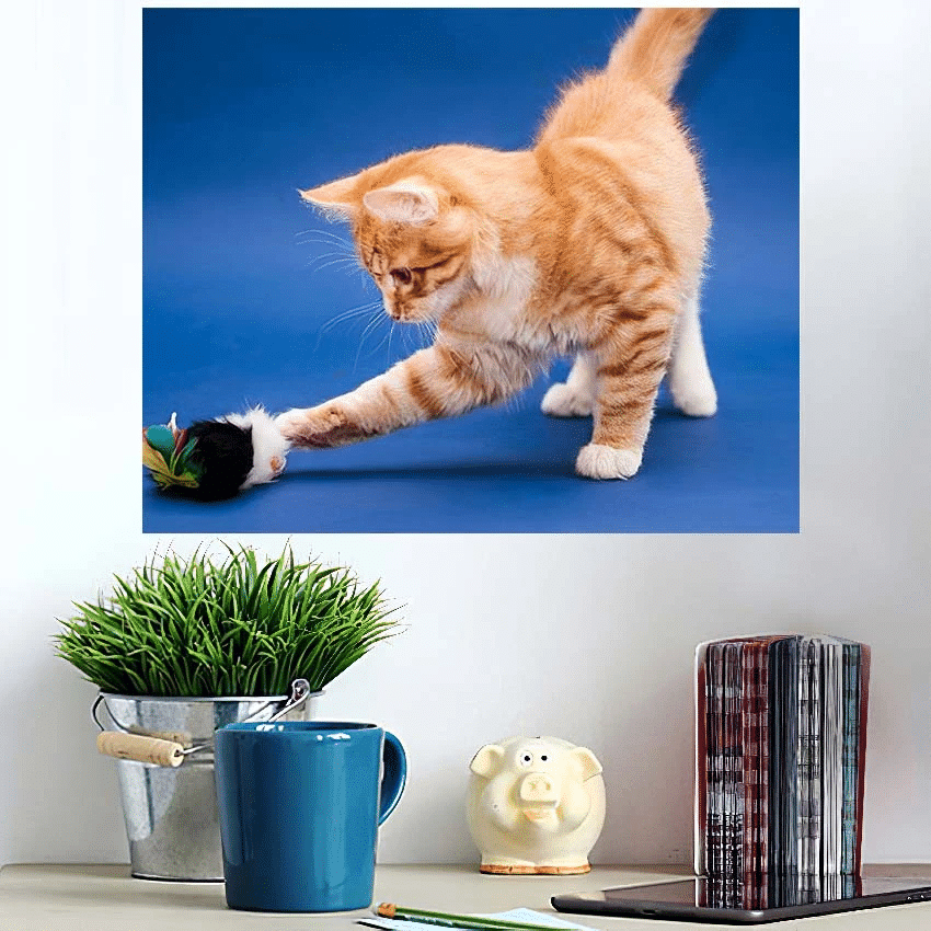 Cute Orange Kitten Playing Toy Dark - Tiger Animals Poster Art Print
