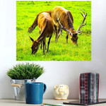 Deers Grazing On Pasture Field - Deer Animals Poster Art Print