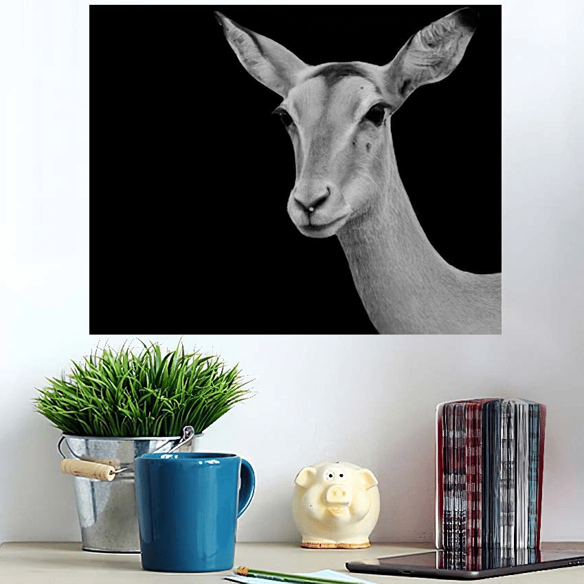 Cute Black White Deer Looking - Deer Animals Poster Art Print