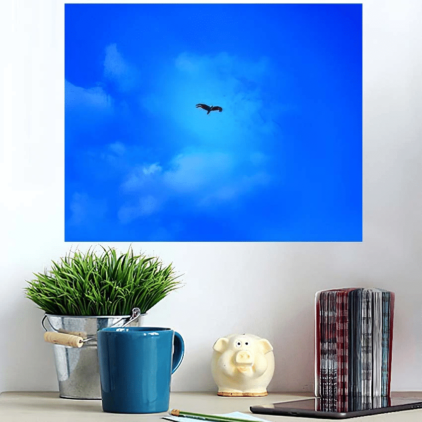 Eagle High Spacious Sky Stratospheric Clouds - Eagle Animals Poster Art Print