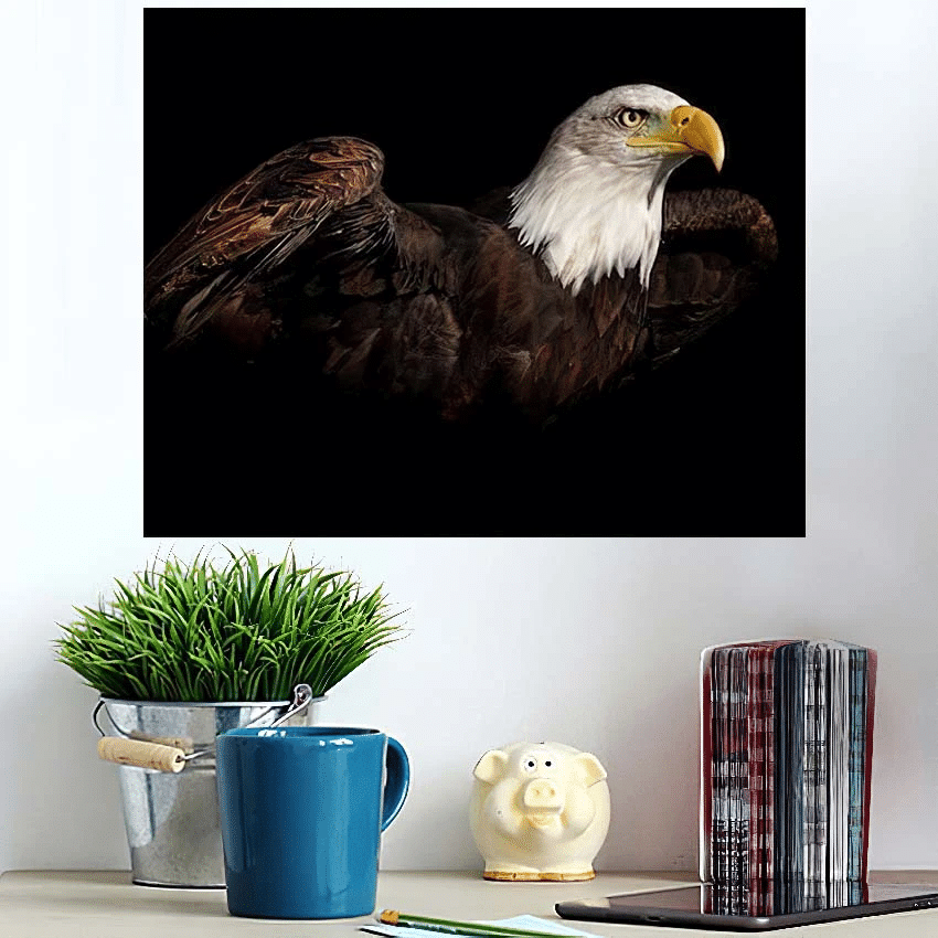 Eagle Black Background - Eagle Animals Poster Art Print