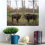 European Bison Bonasus Two Bisons Large - Bison Animals Poster Art Print