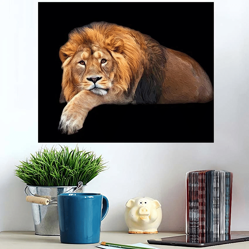Dreamy Look Lying Asian Lion Isolated - Lion Animals Poster Art Print