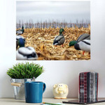Duck Hunting Decoys Corn Field - Hunting And Fishing Poster Art Print