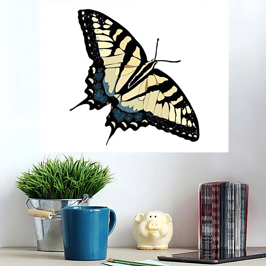 Drawing Tiger Striped Swallowtail Butterfly - White Tiger Animals Poster Art Print