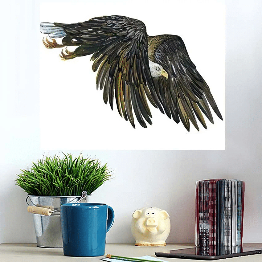 Eagle Flight Watercolor Illustration On White - Eagle Animals Poster Art Print
