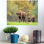 European Bisons Natural Habitat - Bison Animals Poster Art Print