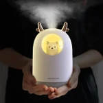 Cute Usb Humidifier With Night Light