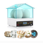 Hhd Yz9 - 4 Electric Digital 4 - Egg Incubator Thermostat