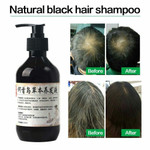 Herbal Anti-Grey ⓡ Repair Anti-Hair Shampoo