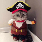 Funny Cat/Dog Pirate Clothes
