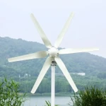 Small Wind Turbine Power Generator For Home 6000W