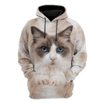 Cute Ragdoll Cat Zip Hoodie Crewneck Sweatshirt T-Shirt 3D All Over Print For Men And Women